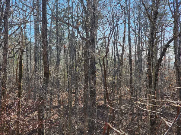 $60,000 | Lot 35 Road 9050 Mentone Al, Mentone, AL 35984