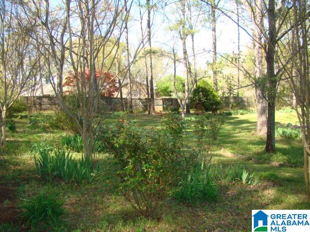 303 Hubbard Circle Anniston, AL 36206 - Photo 25 of 34
