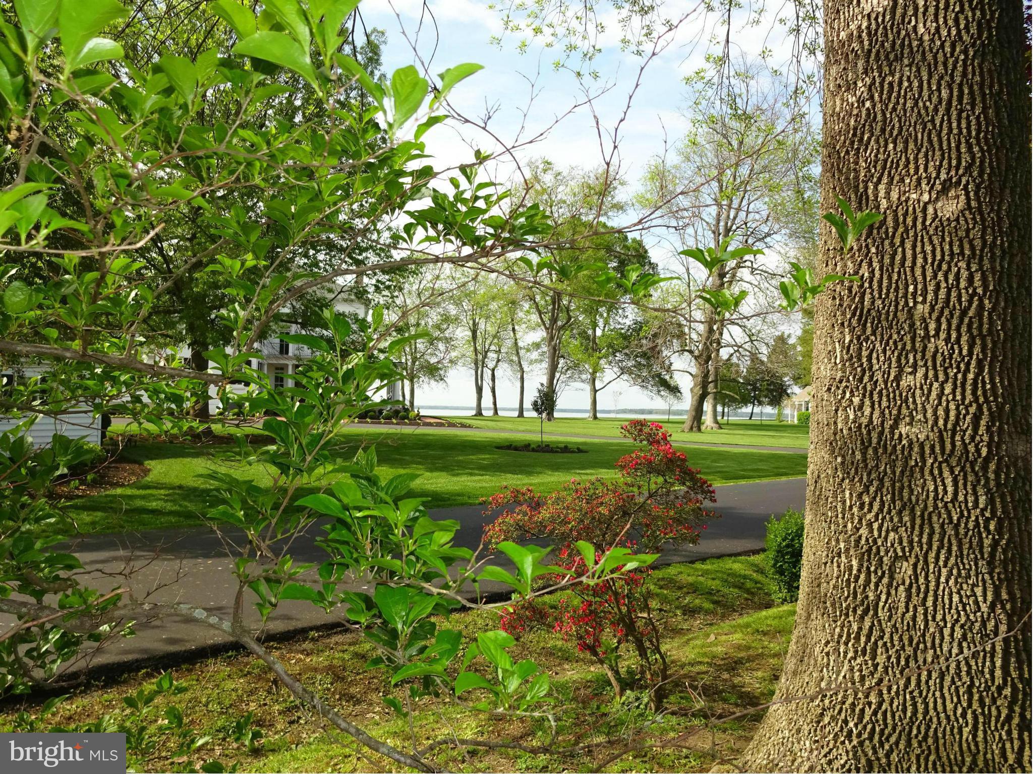 13 Hatsawap Road Cambridge, MD 21613 - Photo 4 of 30 Waterview