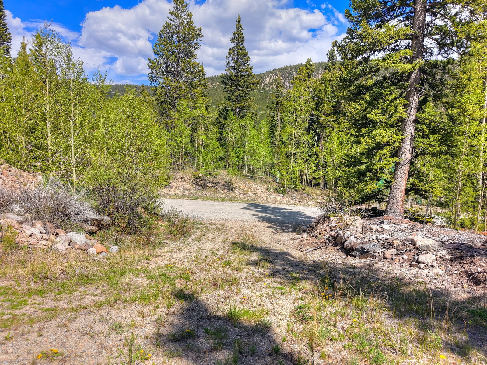 253 Mine Dump Road Alma, CO 80420 - Photo 10 of 13