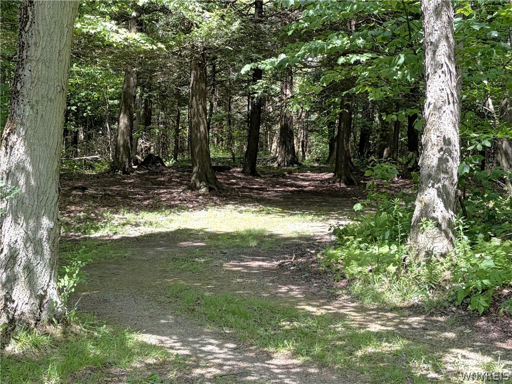 11709 Scotch Road Freedom, NY 14065 - Photo 21 of 30