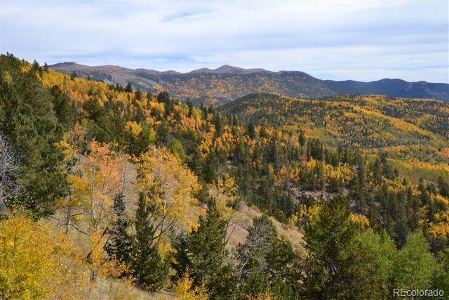 5467 County 8 Road Victor, CO 80860 - Photo 23 of 35 Gallery Image 23