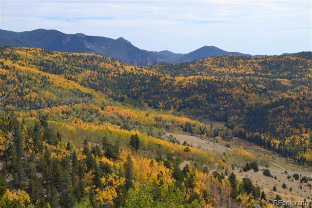 5467 County 8 Road Victor, CO 80860 - Photo 24 of 35 Gallery Image 24