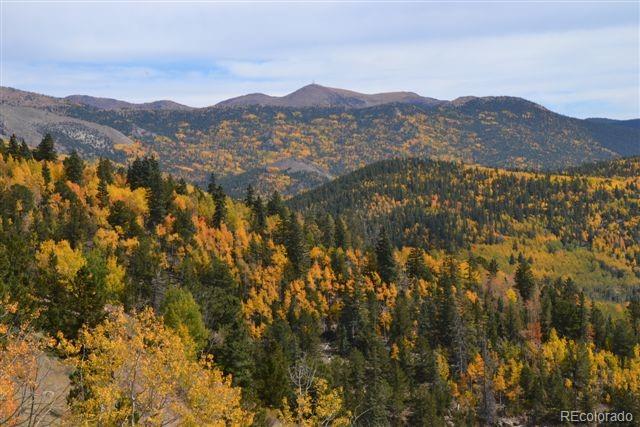 5467 County 8 Road Victor, CO 80860 - Photo 25 of 35 Gallery Image 25