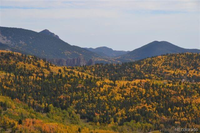 5467 County 8 Road Victor, CO 80860 - Photo 26 of 35 Gallery Image 26