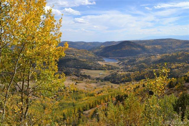 5467 County 8 Road Victor, CO 80860 - Photo 27 of 35 Gallery Image 27