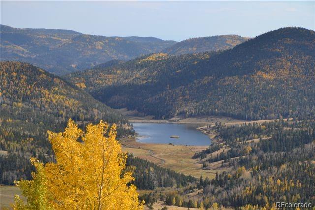 5467 County 8 Road Victor, CO 80860 - Photo 28 of 35 Gallery Image 28