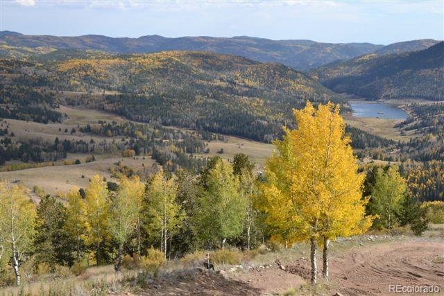 5467 County 8 Road Victor, CO 80860 - Photo 29 of 35 Gallery Image 29