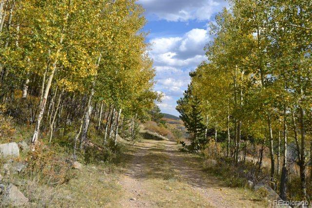 5467 County 8 Road Victor, CO 80860 - Photo 30 of 35 Gallery Image 30