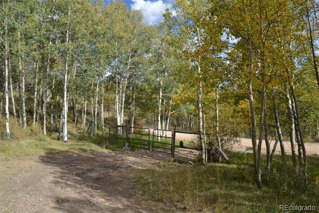 5467 County 8 Road Victor, CO 80860 - Photo 31 of 35 Gallery Image 31