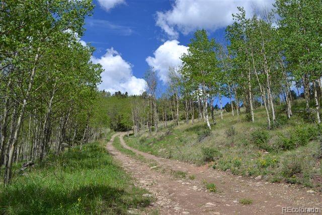 5467 County 8 Road Victor, CO 80860 - Photo 34 of 35 Gallery Image 34