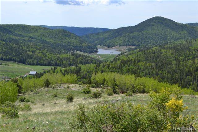 5467 County 8 Road Victor, CO 80860 - Photo 35 of 35 Gallery Image 35