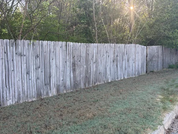 a view of a backyard