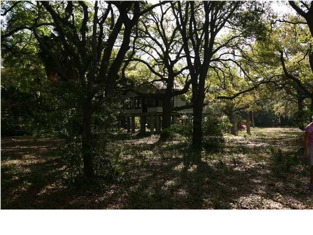 8949 Sandy Creek Road Edisto Island, SC 29438 - Photo 3 of 7 Additional Photo