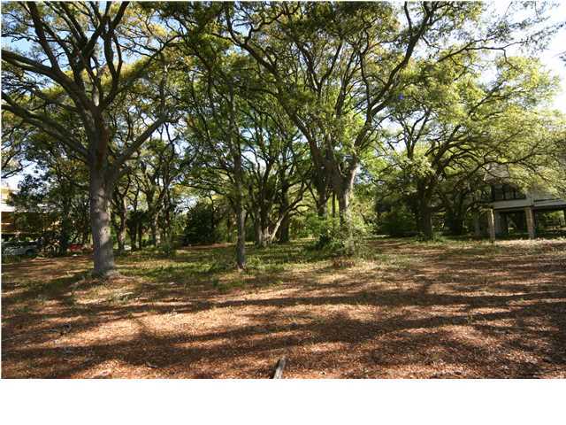 8949 Sandy Creek Road Edisto Island, SC 29438 - Photo 5 of 7 Additional Photo