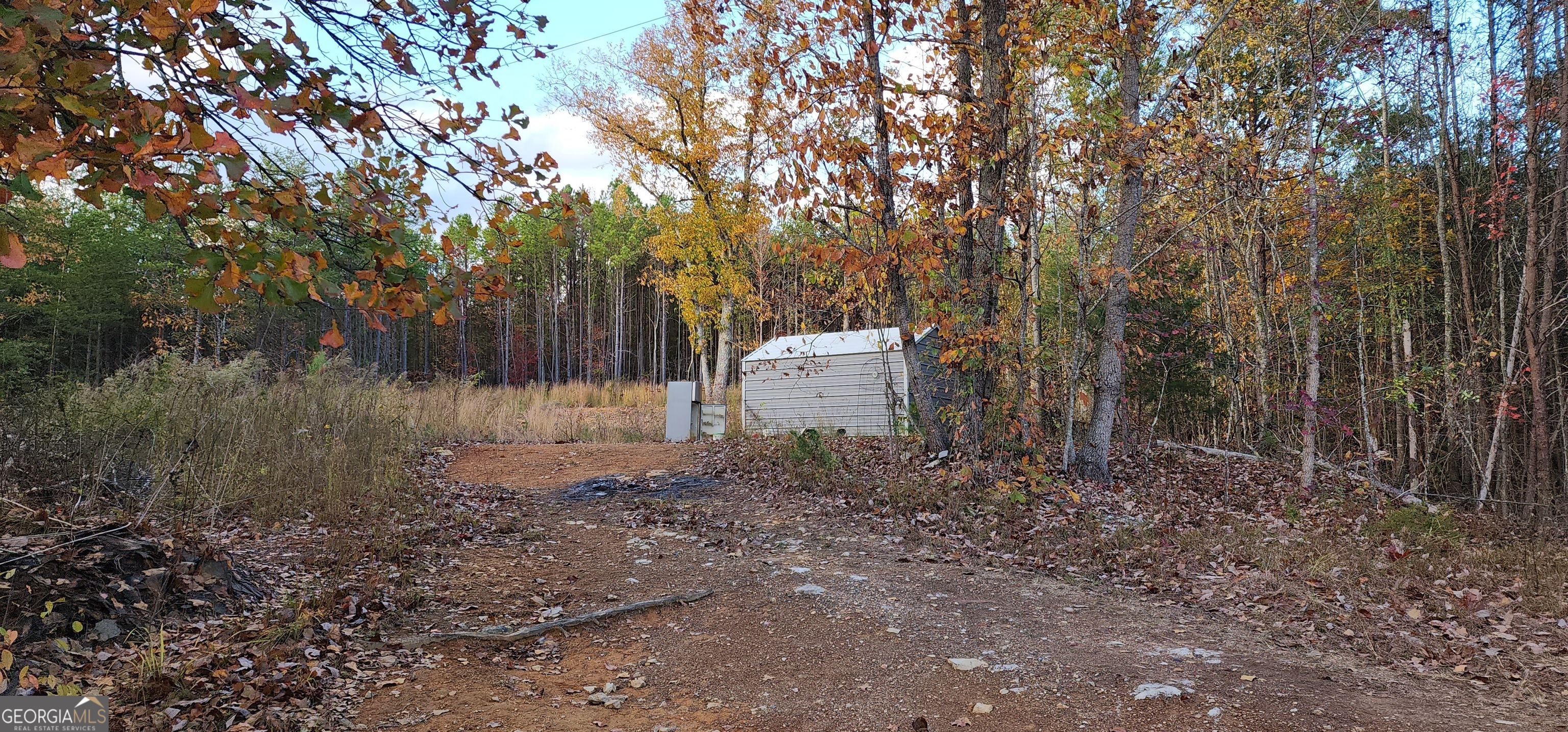 745 Brewster Field Road Cedartown, GA 30125 - Photo 15 of 18 a backyard of a house with lots of green space