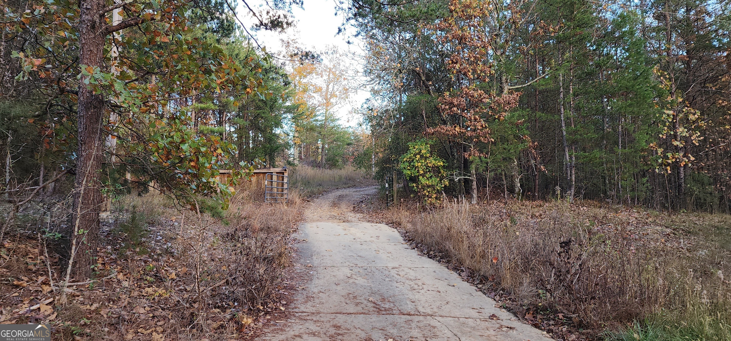 745 Brewster Field Road Cedartown, GA 30125 - Photo 18 of 18 a view of a forest with trees