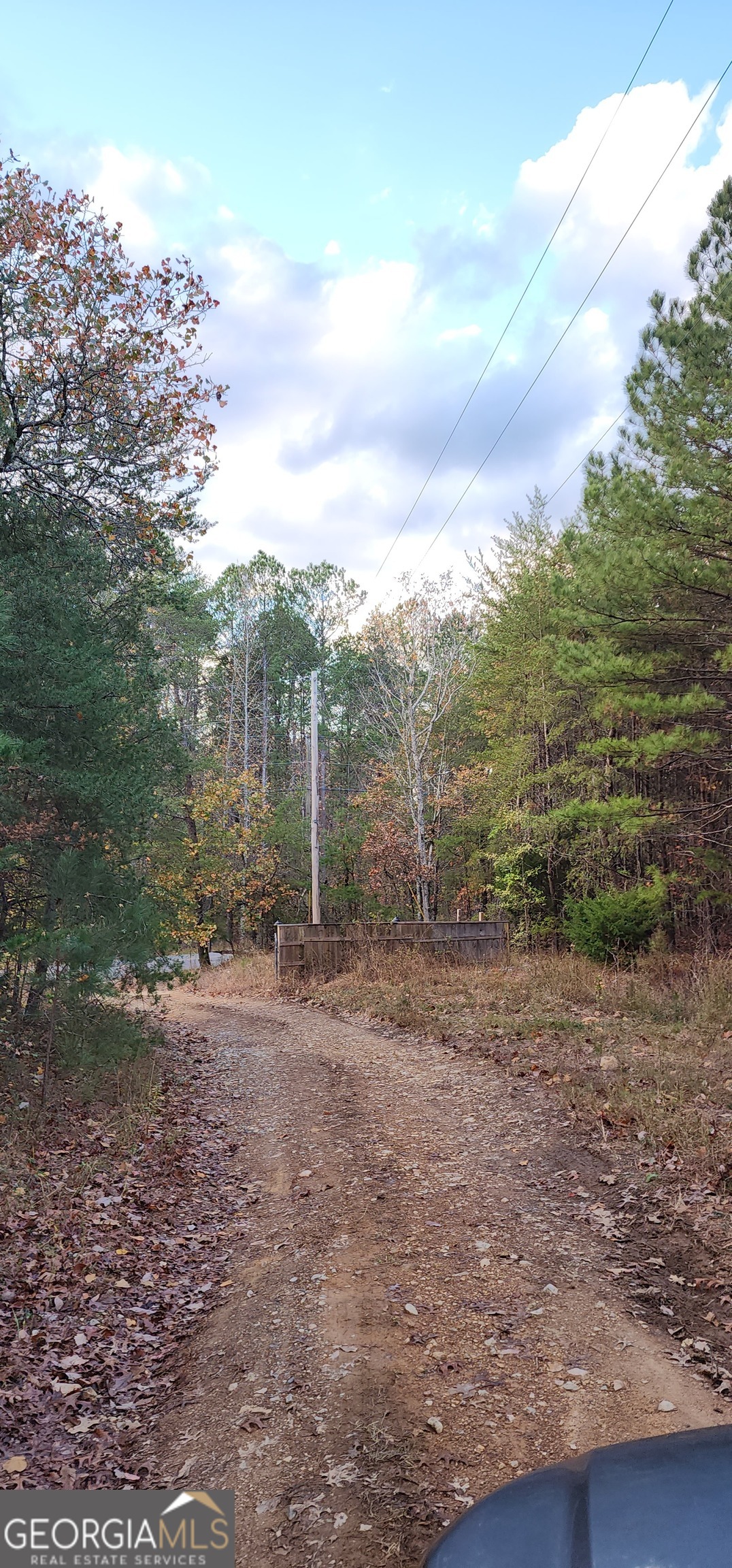 745 Brewster Field Road Cedartown, GA 30125 - Photo 4 of 18 a view of a yard with wooden fence