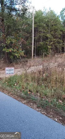 a view of a field with a tree