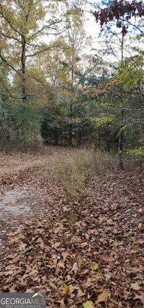 a view of a field with plants and trees