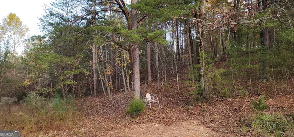 a view of a forest with trees