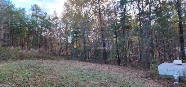 a view of a forest with trees in the background