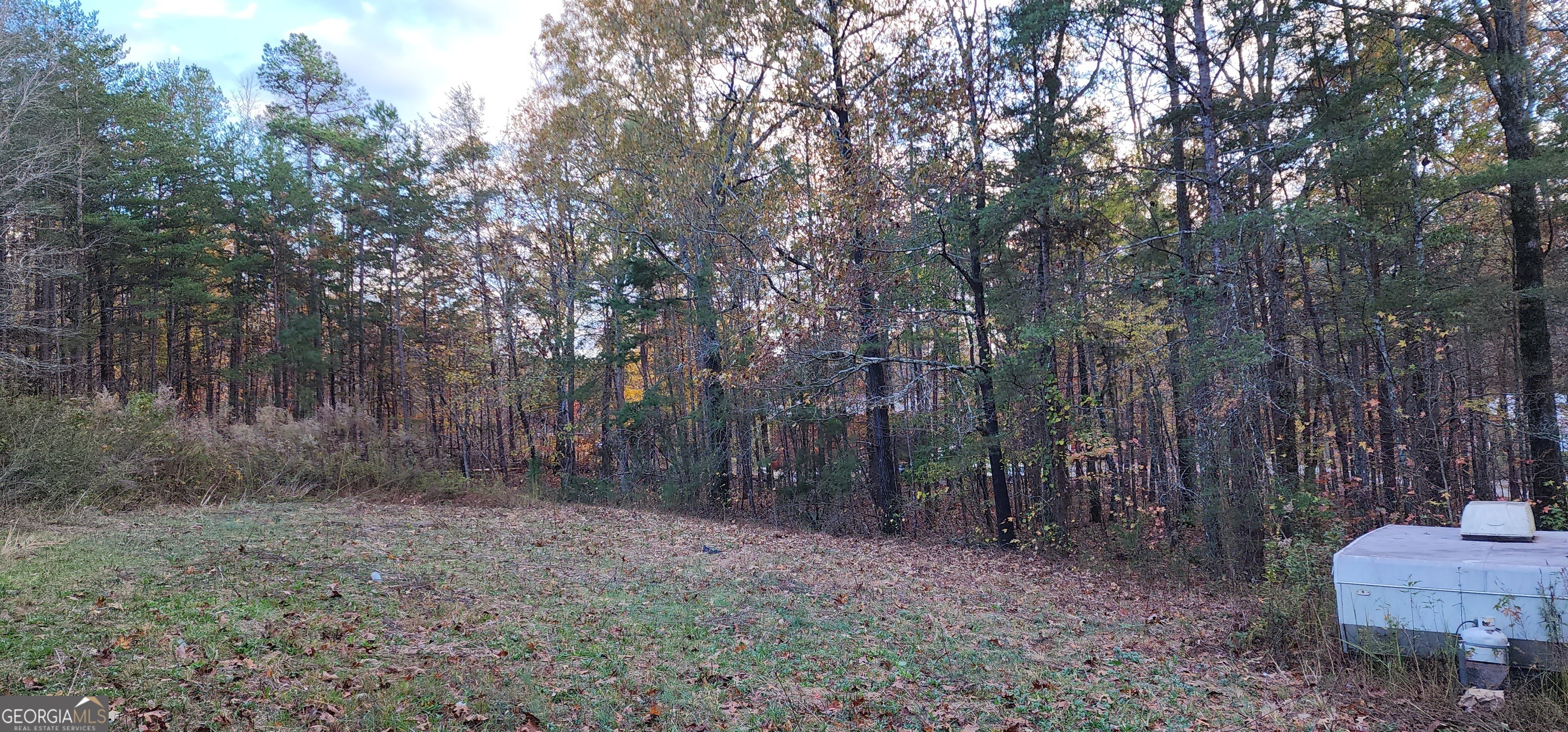 745 Brewster Field Road Cedartown, GA 30125 - Photo 9 of 18 a view of a forest with trees in the background