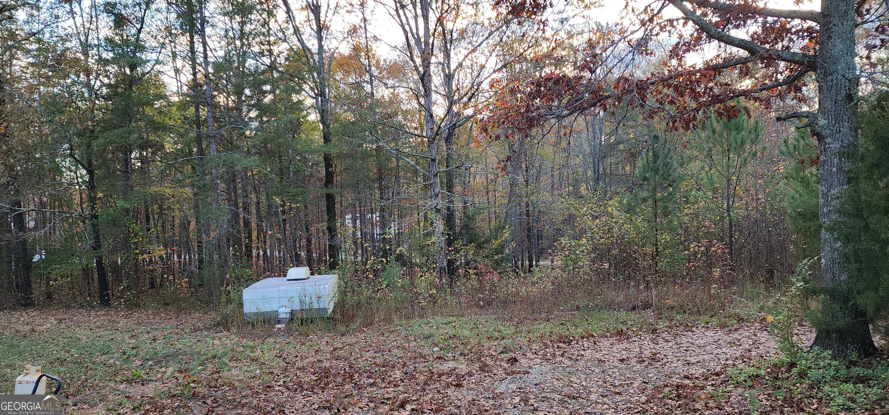 745 Brewster Field Road Cedartown, GA 30125 - Photo 10 of 18 a view of a backyard with large trees