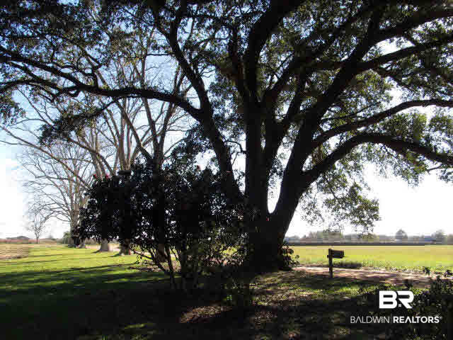 15405 Mannich Lane Foley, AL 36535 - Photo 9 of 18