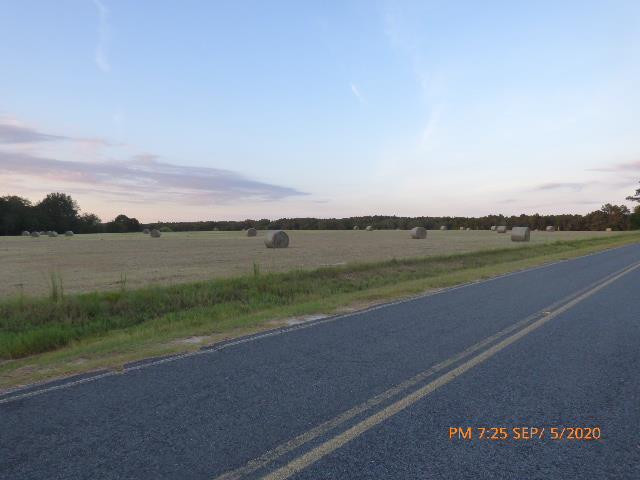 1615 Dairy Road Monetta, SC 29105 - Photo 24 of 30