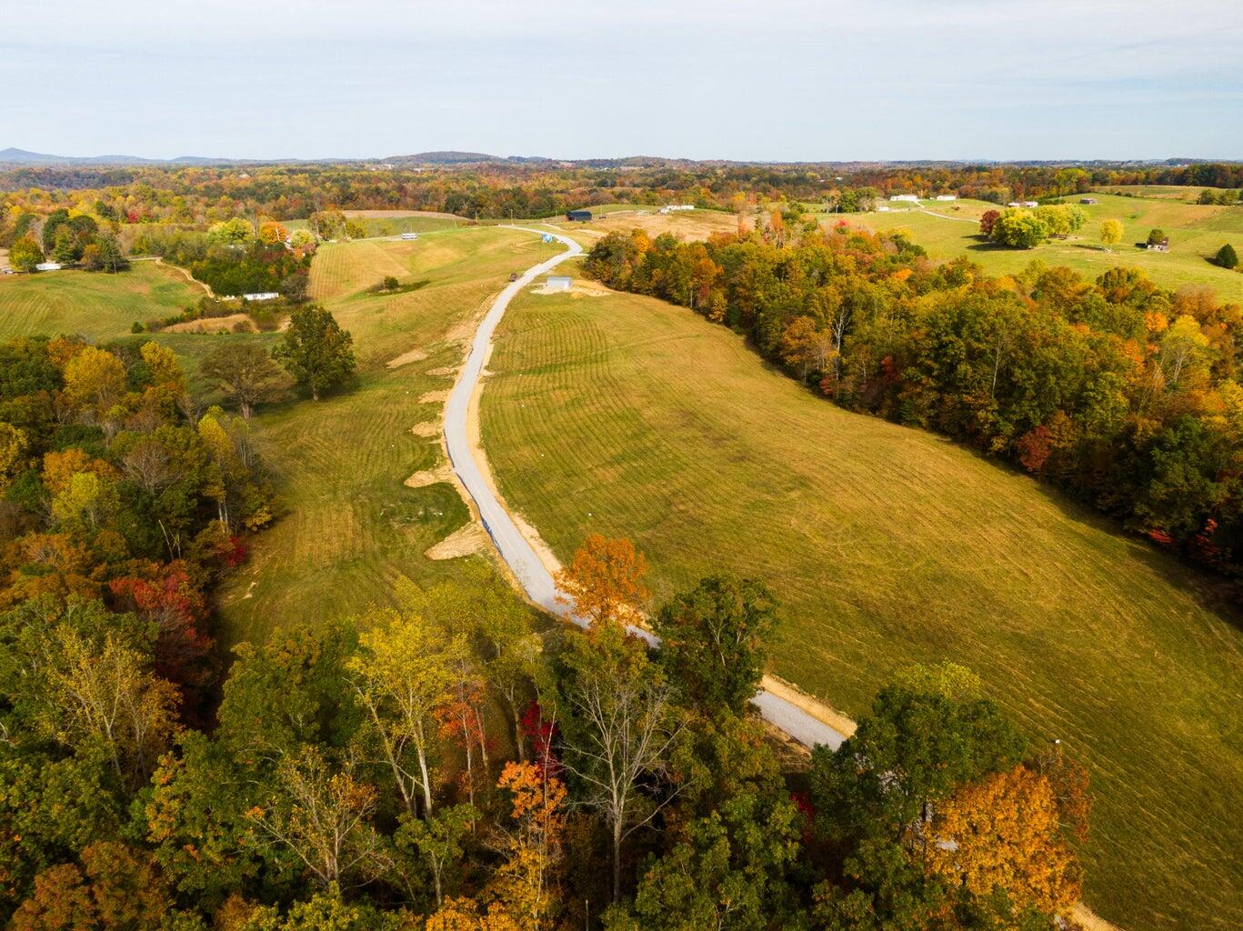 Lot 31 Spring Branch Hollow Road Nancy, KY 42544 - Photo 5 of 5 Lot 31-5