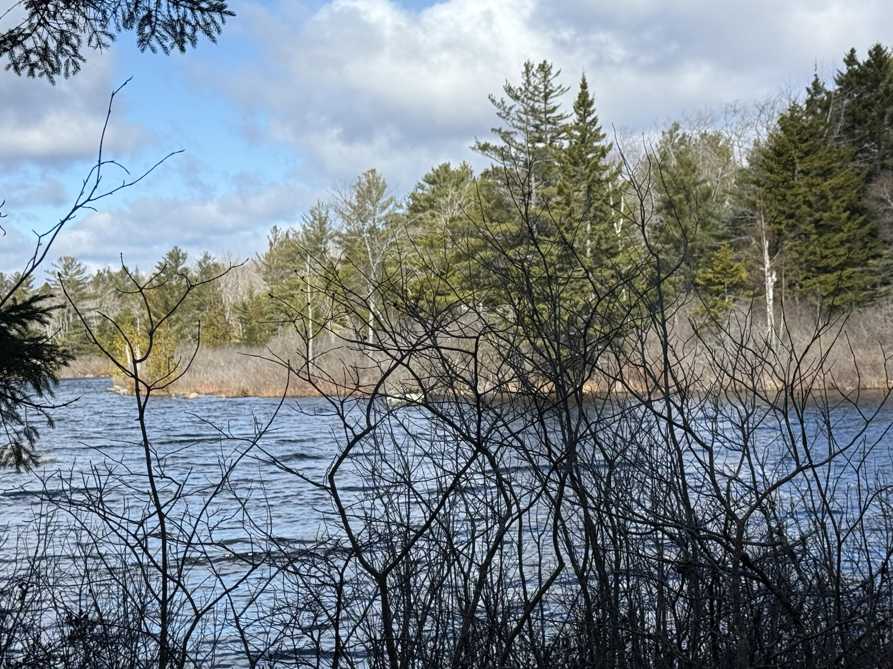 Lot I Birch Pt Road Cooper, ME 04657 - Photo 5 of 16 IMG_0988