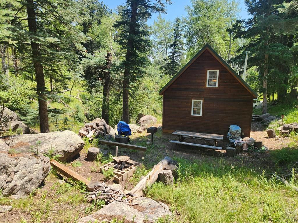181 Lion Gulch Road Rye, CO 81069 - Photo 5 of 21