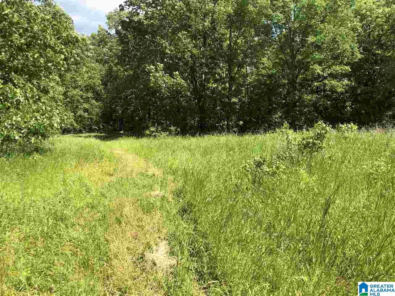 230 Copper Springs Road Odenville, AL 35120 - Photo 20 of 42