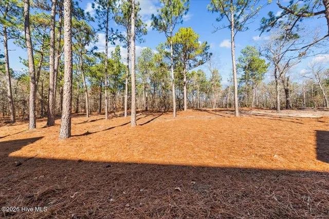 $920,000 | 170 Sugar Sand Lane, West End, NC 27376