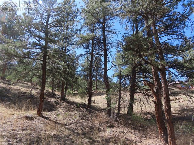 165 West Platte Road Lake George, CO 80827 - Photo 2 of 27