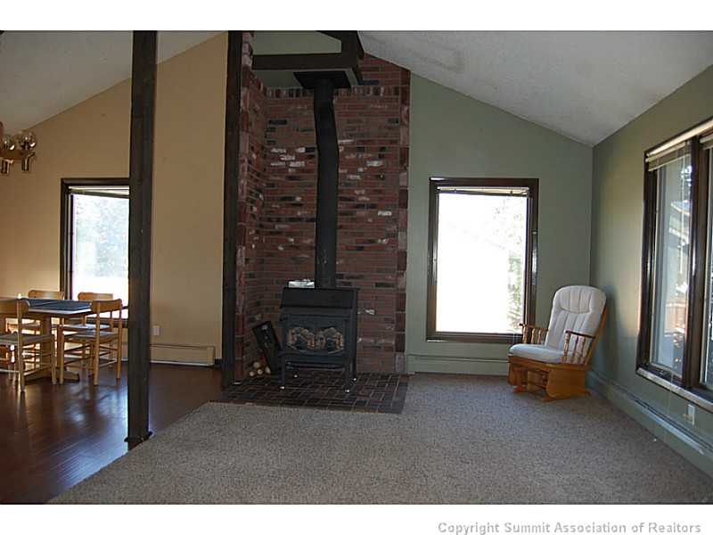 172 Alpine Road Dillon, CO 80435 - Photo 6 of 18 Exterior Front.