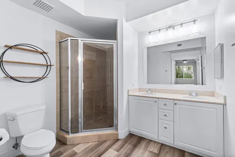 a bathroom with a toilet a sink a mirror a vanity and shower