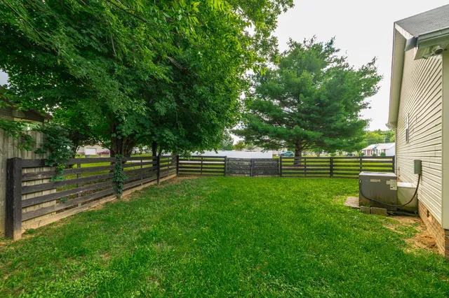 a view of a park with bench and trees