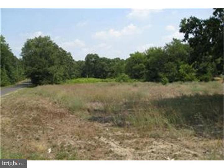 103 Tomwells Road Berlin, NJ 08009 - Photo 10 of 12 Gallery Image 10