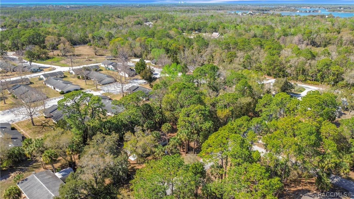 416 North Hourglass Terrace Crystal River, FL 34429 - Photo 5 of 62