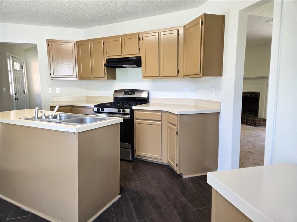 6445 Marsham Drive Atlanta, GA 30349 - Photo 14 of 28 a kitchen with a sink stove and cabinets