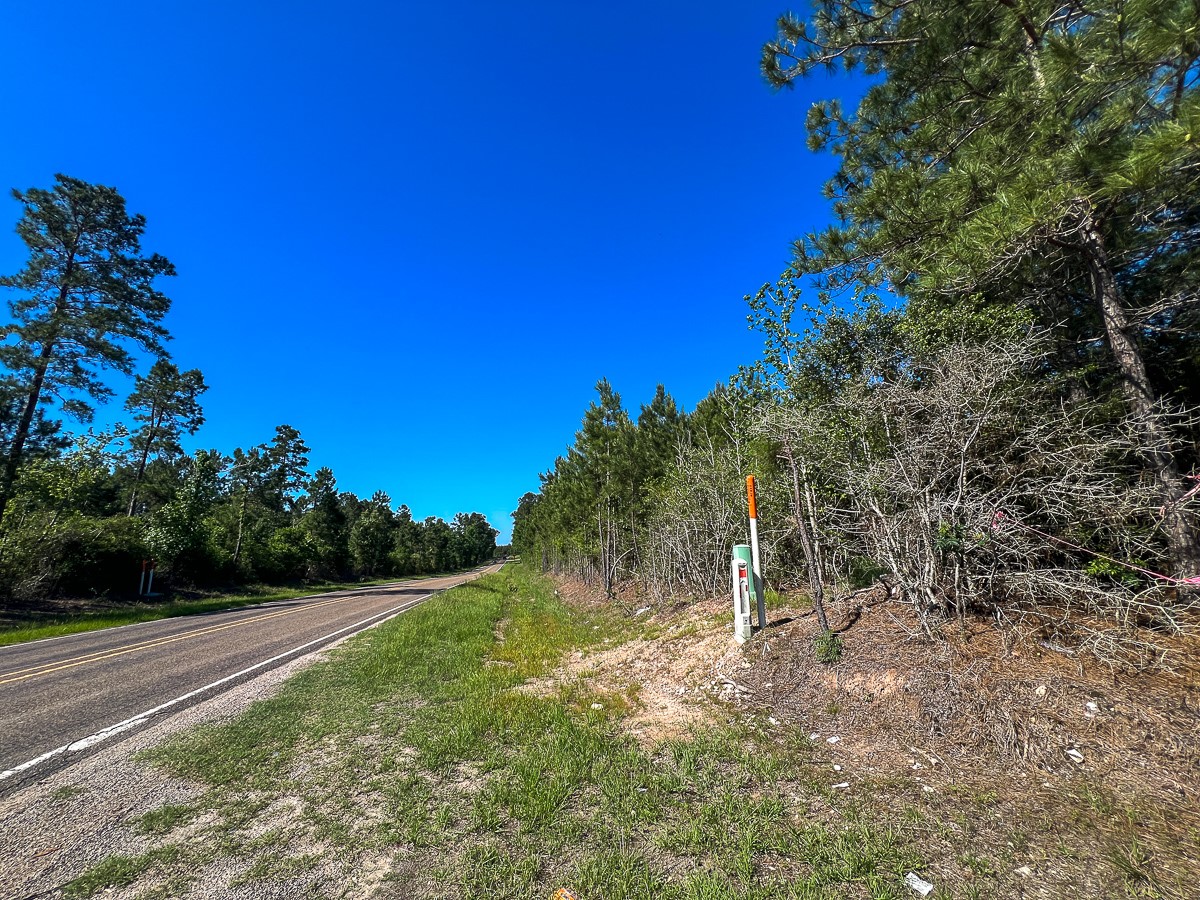 355 Eliot Trinity, TX 75862 - Photo 10 of 13