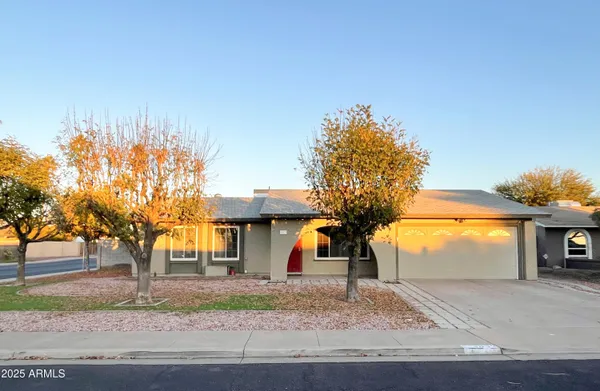 a view of a house with a yard and tree s