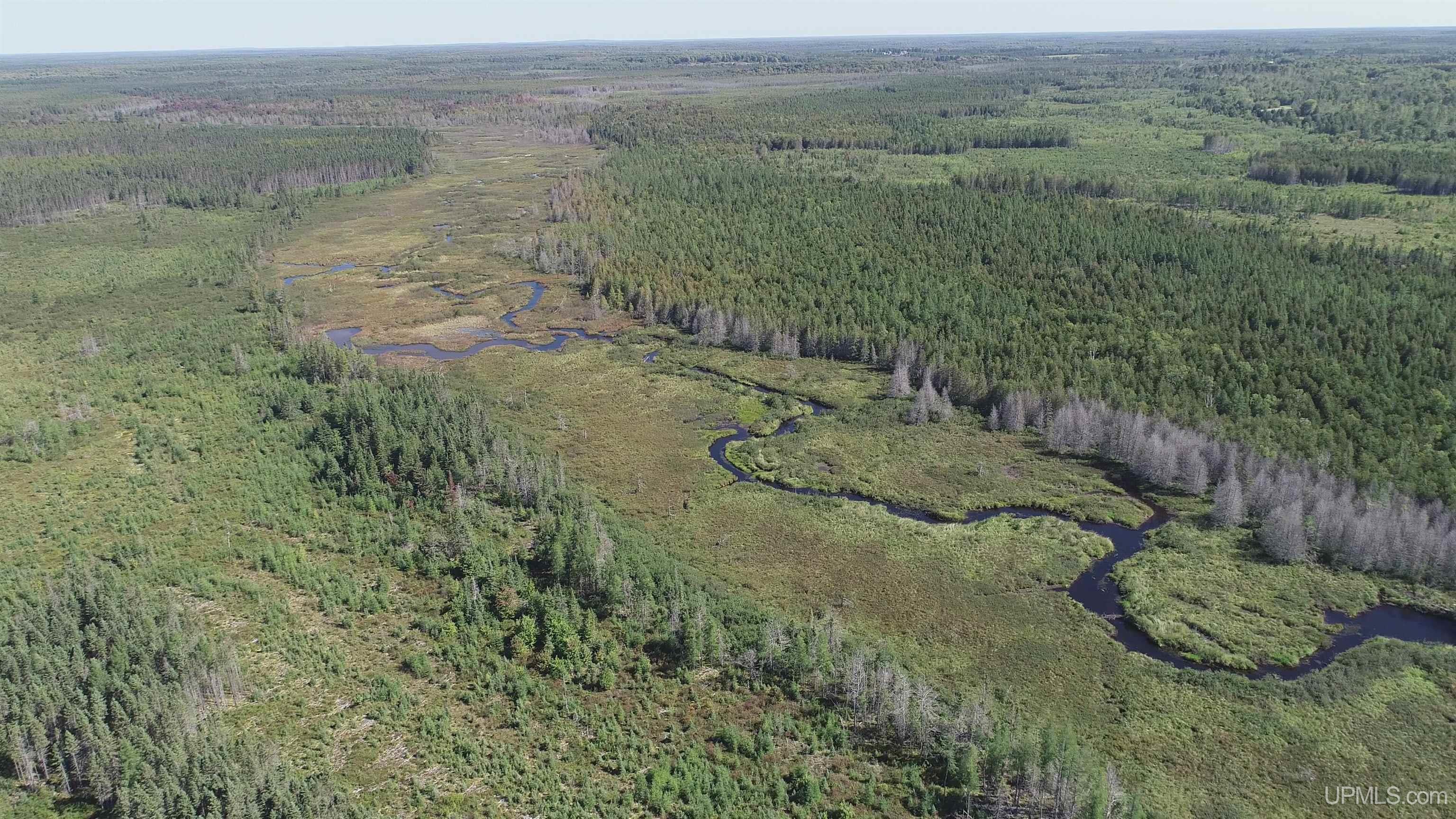 421-acres Lang Road Gulliver, MI 49840 - Photo 28 of 31 Gallery Image 28