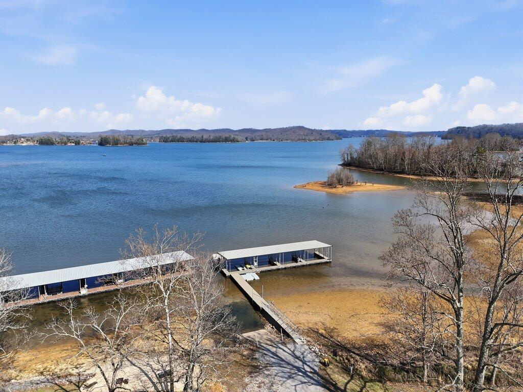 1255 New Lake Road, Unit 23 Spring City, TN 37381 - Photo 36 of 36 039_dji_20260305135705_0204_d_356