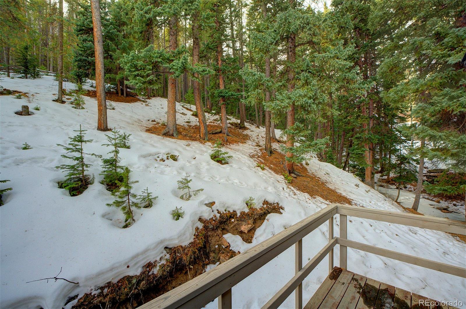 34788 Forest Estates Road Evergreen, CO 80439 - Photo 16 of 40