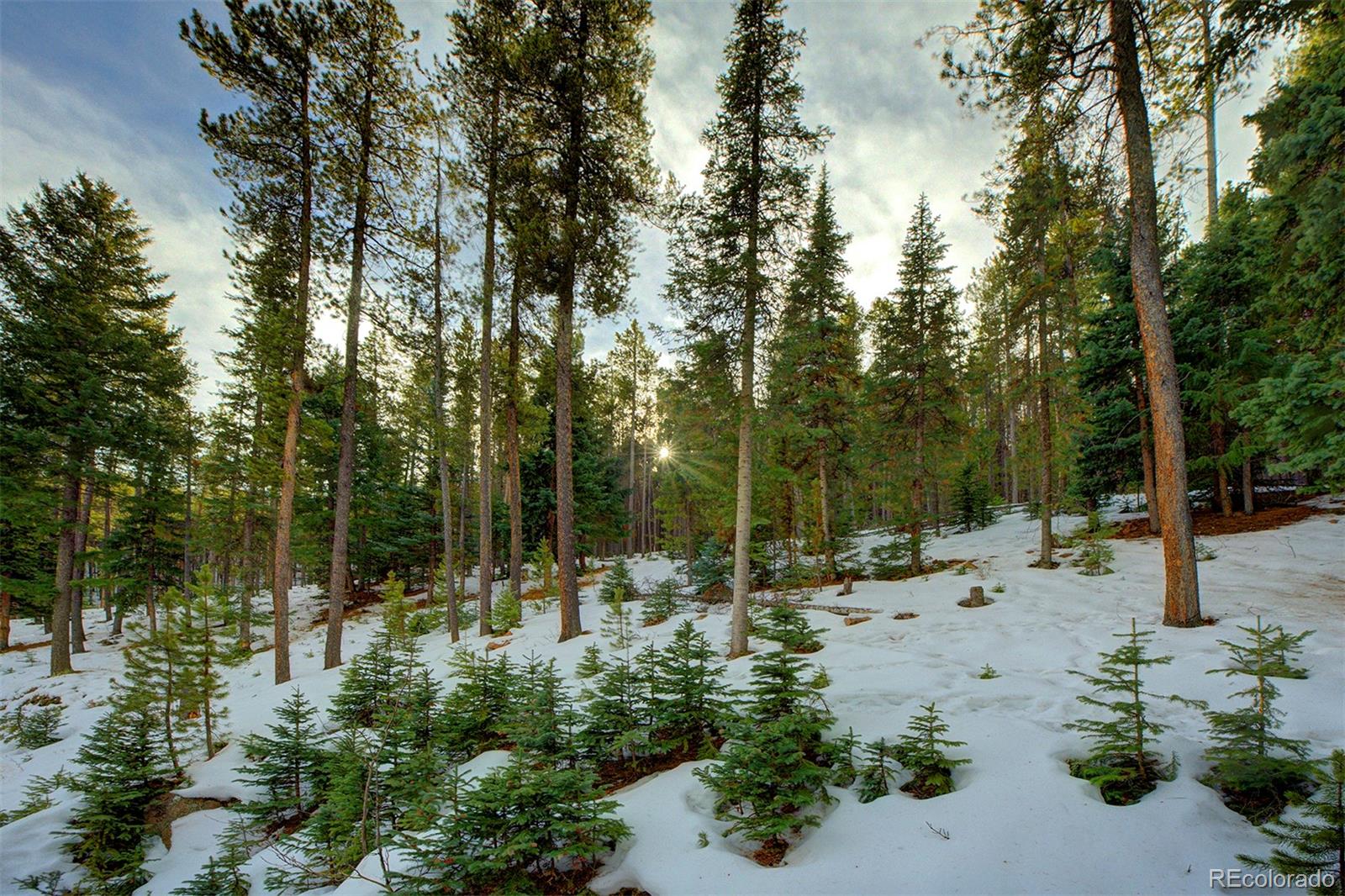 34788 Forest Estates Road Evergreen, CO 80439 - Photo 17 of 40