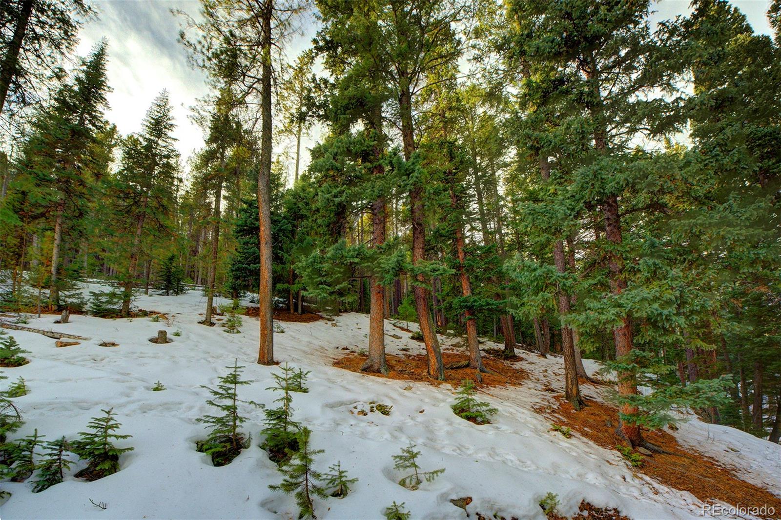 34788 Forest Estates Road Evergreen, CO 80439 - Photo 18 of 40