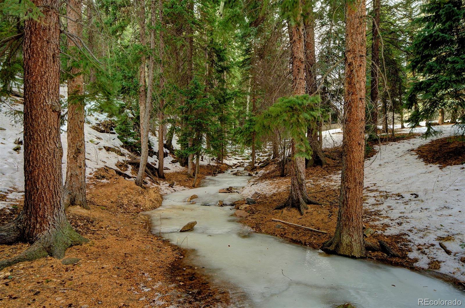 34788 Forest Estates Road Evergreen, CO 80439 - Photo 38 of 40